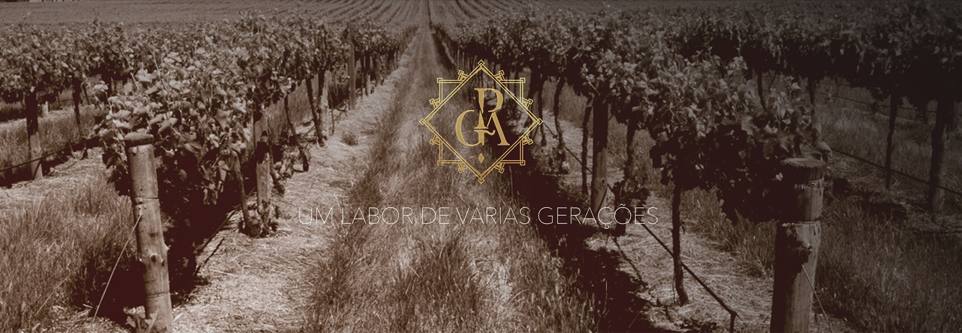 o terroir 1